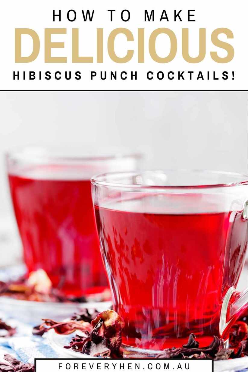 Two glasses filled with red punch. Text overlay: How to make delicious hibiscus punch cocktails!